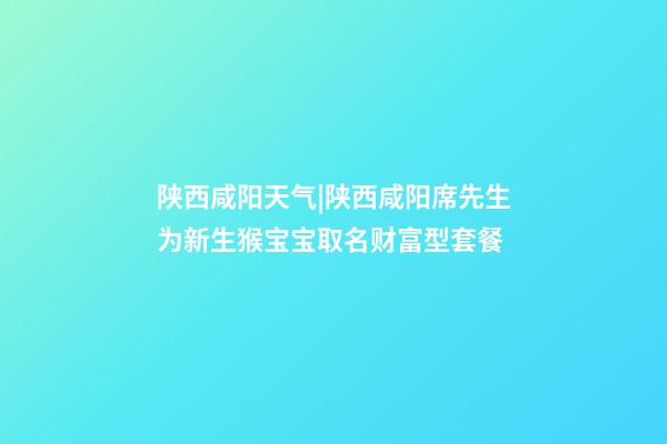 陕西咸阳天气|陕西咸阳席先生为新生猴宝宝取名财富型套餐-第1张-公司起名-玄机派